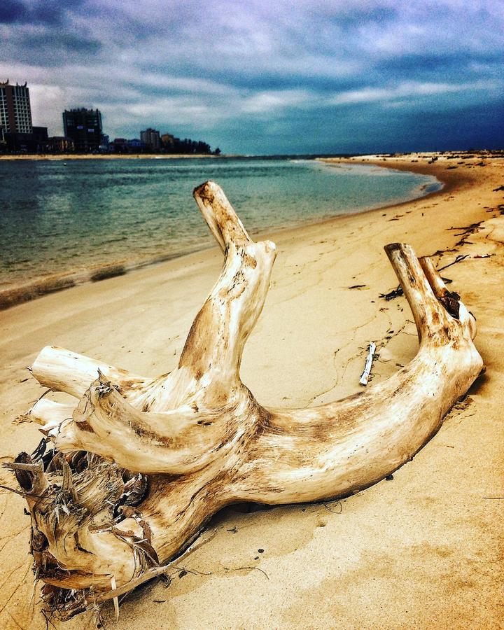 فندق جيميناي آند كافيه دونغ هوي المظهر الخارجي الصورة